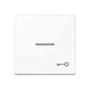 Wippe Symbol TÜR aws für beleuchtb.Taster A 590 KO5 T WW 