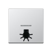 Wippe abt.Symbol LICHT alu für Kontrollschalter A 590 L1KO AL 