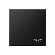 Wippe 1-fach graphitschwarz matt A 590 L SWM 