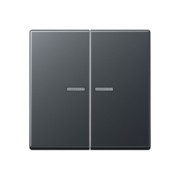 Wippe 2-fach bel. anthrazit matt A 595 BF KO5 ANM 
