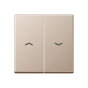 Wippe Symbole champ für Jal.Wippschalter A 595 P CH 