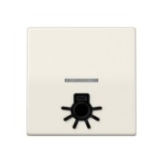 Wippe abt.Symbol LICHT ws für beleuchtb.Taster ABAS 591 L1KO5 