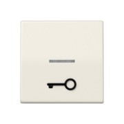 Wippe abt.Symbol TÜR ws für beleuchtb.Taster ABAS 591 T1KO5 
