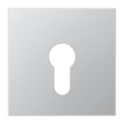 Abdeckung alu für Schlüsselschalt. AL 2925 