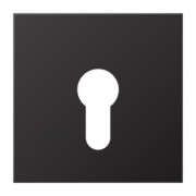 Abdeckung f.Schlüsselschalter AL 2925 D 