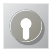 Abdeckung alu für Schlüsselschalt. AL 2928 