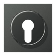 Abdeckung anth für Schlüsselschalt. AL 2928 AN 