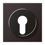 Abdeckung f.Schlüsselschalter AL 2928 D 