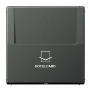 Hotelcard-Schalter anth ohne Taster-Einsatz AL 2990 CARD AN 