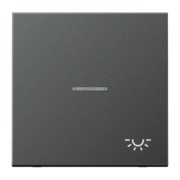 Wippe Symbol LICHT anth für Taster AL 2990 KO5 L AN 