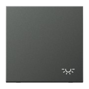 Wippe Symbol LICHT anth für Taster AL 2990 L AN 