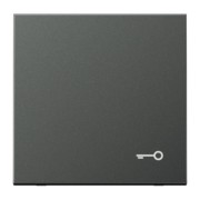 Wippe Symbol TÜR anth für Taster AL 2990 T AN 