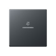 Hotelwippe Innenstelle Symbol Nicht stören A RU KO5 D ANM 