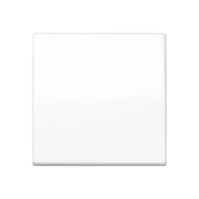 Steuertaste Standard AS 1700 WW 