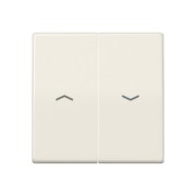 Wippe Symbole ws für Jal.Schalter AS 591-5 PBF 