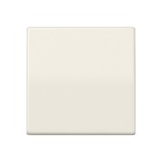 Wippe ws für Schalter/Taster AS 591 BFS 