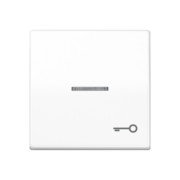 Wippe Sym.TÜR/Lichtl.aws für beleuchtb.Taster AS 591 KO5T WW 