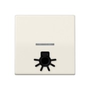 Wippe abt.Sym.LICHT ws für beleuchtb.Taster AS 591 L1KO5 