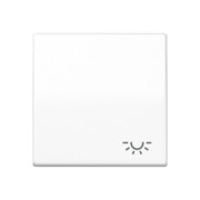 Wippe Symbol LICHT aws für Taster AS 591 L WW 
