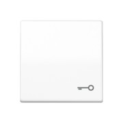 Wippe Symbol TÜR aws für Taster AS 591 T WW 