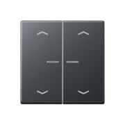 Taster 2fach JUNG HOME BT A 17102 BF P ANM 