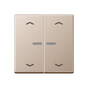 Taster 2fach JUNG HOME BT A 17102 P CH 