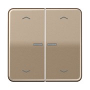 Taster 2fach JUNG HOME BT CD 17102 P GB 