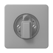 Abdeckung für Drehschalter CD 1541 GR 