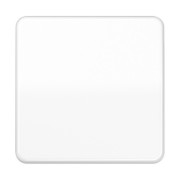 Steuertaste Standard CD 1700 WW 