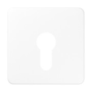 Abdeckung aws für Schlüsselschalt. CD 525 WW 