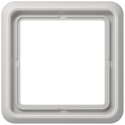 Rahmen 1-fach lgr waage/senkrecht CD 581 WU LG 