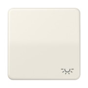Wippe Symbol LICHT ws für Taster CD 590 BFL 