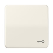 Wippe Symbol TÜR ws für Taster CD 590 BFT 