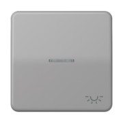 Wippe Sym.LICHT/Lichtl.gr für beleuchtb.Taster CD 590 KO5L GR 