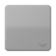 Wippe Symbol LICHT gr für Taster CD 590 L 