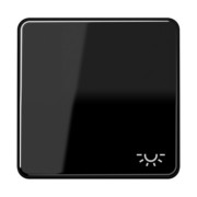 Wippe Symbol LICHT sw für Taster CD 590 L 