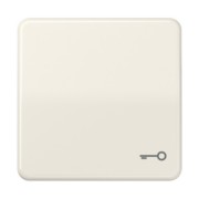 Wippe Symbol TÜR ws für Taster CD 590 T 