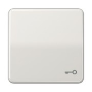 Wippe Symbol TÜR lgr für Taster CD 590 T LG 