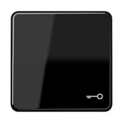 Wippe Symbol TÜR sw für Taster CD 590 T 