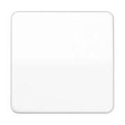 Wippe aws für Taster CD 590 WW 