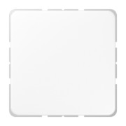 Blind-Abdeckung aws kompl.mit Tragring CD 594-0 WW 