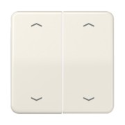 Wippe Symbole ws für Taster 2-fach CD 595 MP 