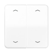 Wippe Symbole aws für Taster 2-fach CD 595 MP WW 