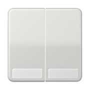 Wippe Schriftfeld lgr für Schalter/Taster CD 595 NA LG 