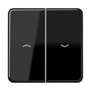 Wippe Symbole sw für Taster CD 595 P 