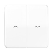 Wippe Symbole aws für Taster CD 595 P WW 