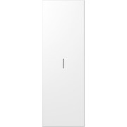 Wippe Lichtleiter aws lack 70x212,4mm ES 2993 KO5 WW 