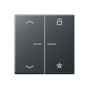 eNet Funk-Steuertaste 2fach, Symbol Pfeil FM A 1701 BFP ANM 