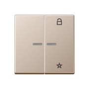 eNet Funk-Steuertaste 2fach, champagner FM A 1701 CH 