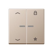 eNet Funk-Steuertaste 2fach, champagner FM A 1701 P CH 